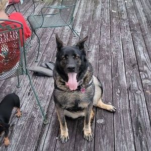 Meet your Posher, Tom